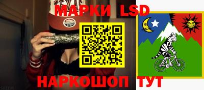 дмт Брянск