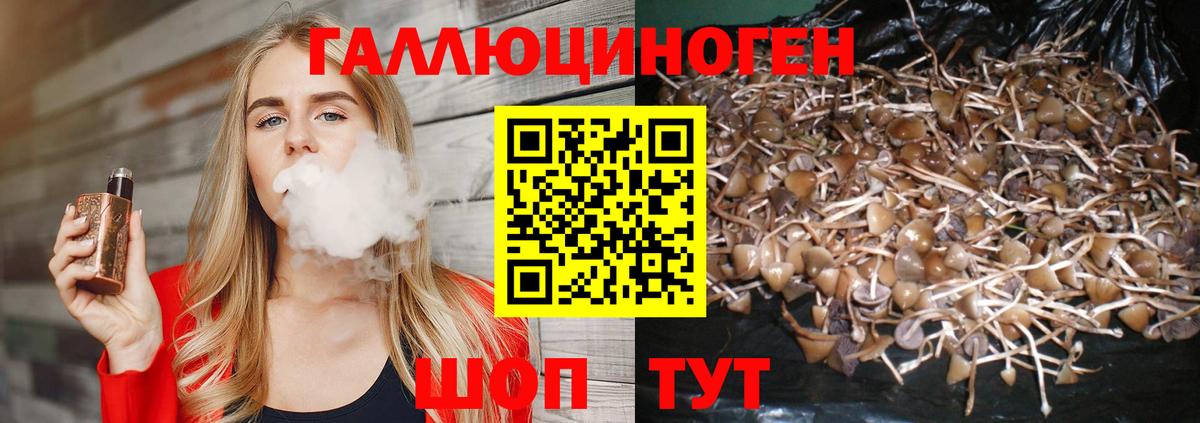 Нурлат  Псилоцибиновые грибы мухоморы  Псилоцибиновые грибы GOLDEN TEACHER  Вход с VPN 